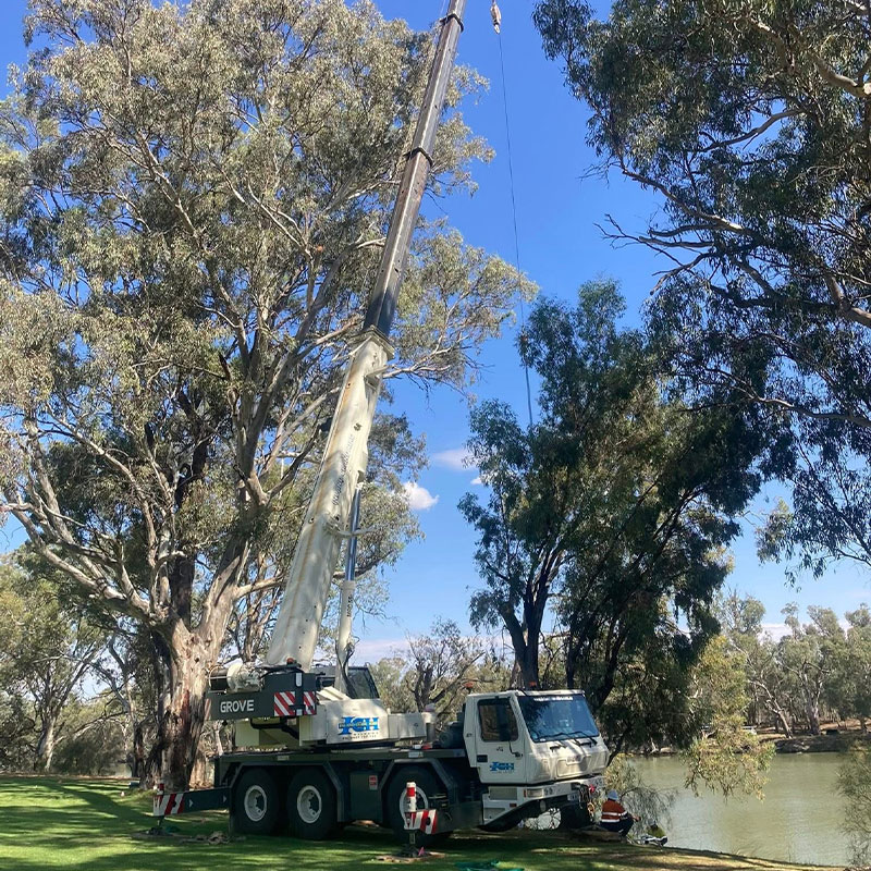 Crane hire project photo